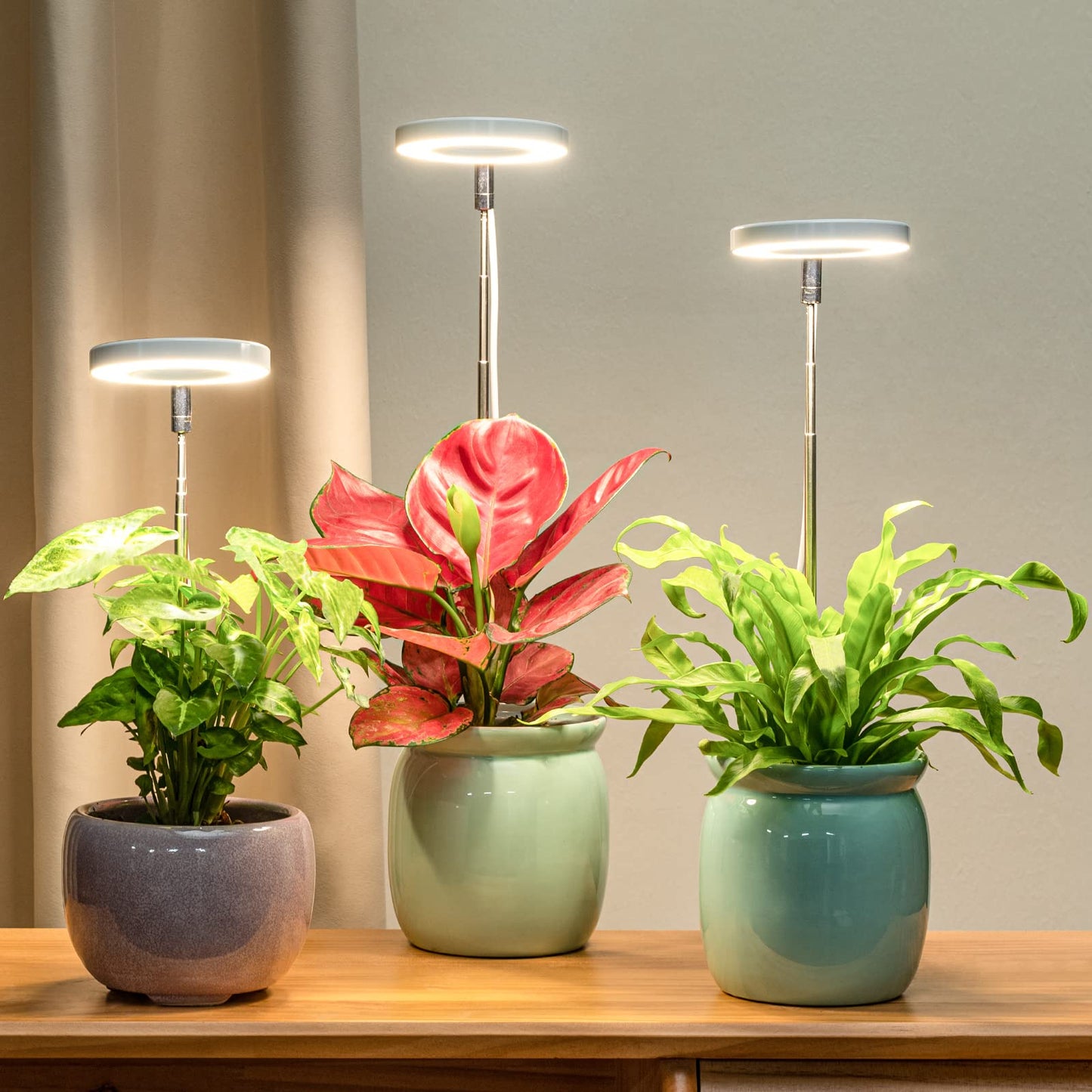GrowGlow LED Full Spectrum Grow Lamp with Adjustable Height & Timer – Perfect for Indoor Solar Plants
