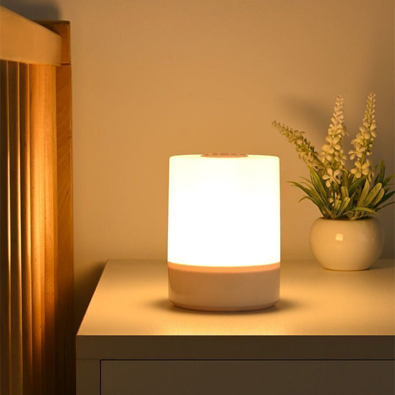 Dimmable LED Bedside Night Light USB Rechargeable Touch Table Lamp for Bedroom & Reading