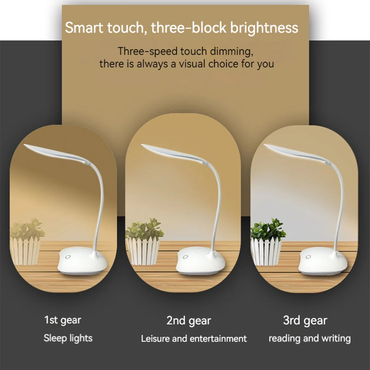 Portable LED Reading Desk Lamp USB Rechargeable, Touch Dimming, Eye Protection Table Light for Study & Office