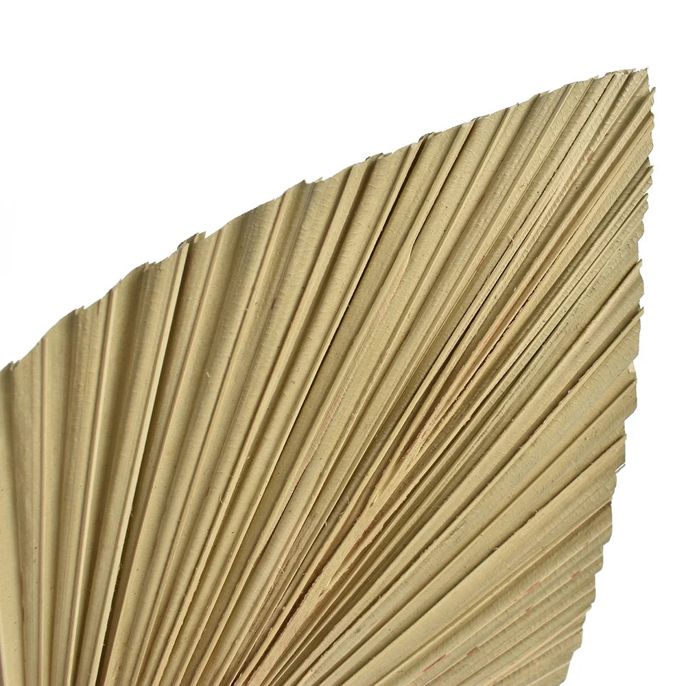 2PCS Mini Dried Palm Leaves & Pampas Grass DIY Wedding & Home Decor Branches