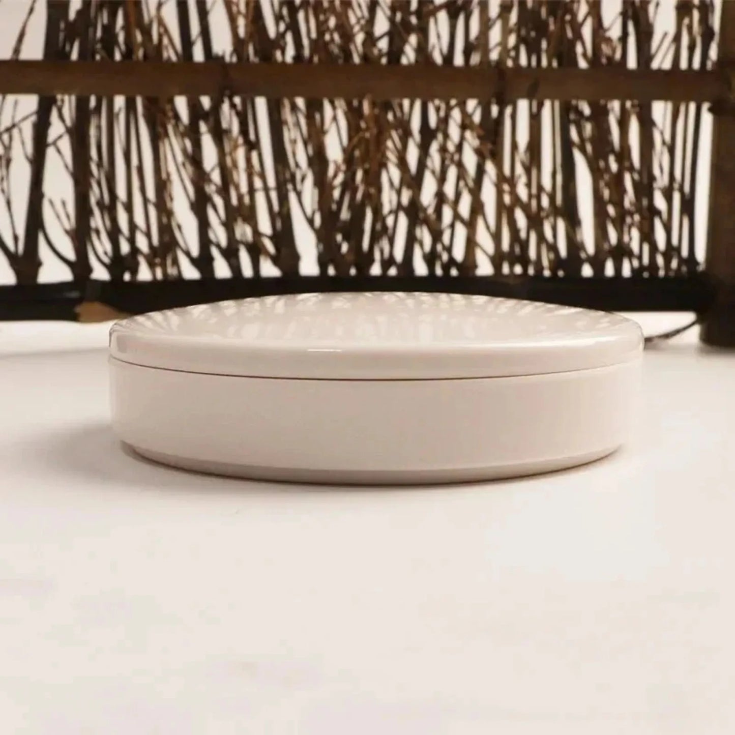 Imitation Porcelain Round Paint Palette with Lid White Tray for Acrylic & Watercolor Painting