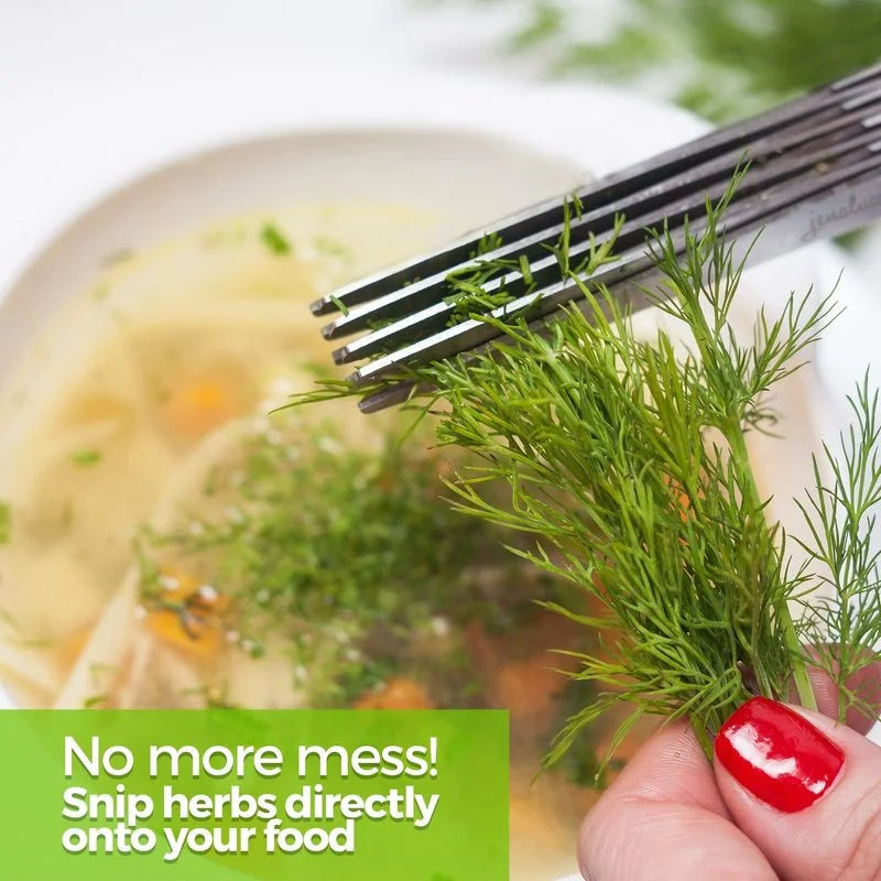 Multi Layer Kitchen Herb Scissors Stainless Steel Vegetable Cutter for Scallions, Spices & More
