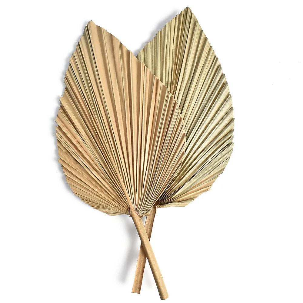 2PCS Mini Dried Palm Leaves & Pampas Grass  DIY Wedding & Home Decor Branches