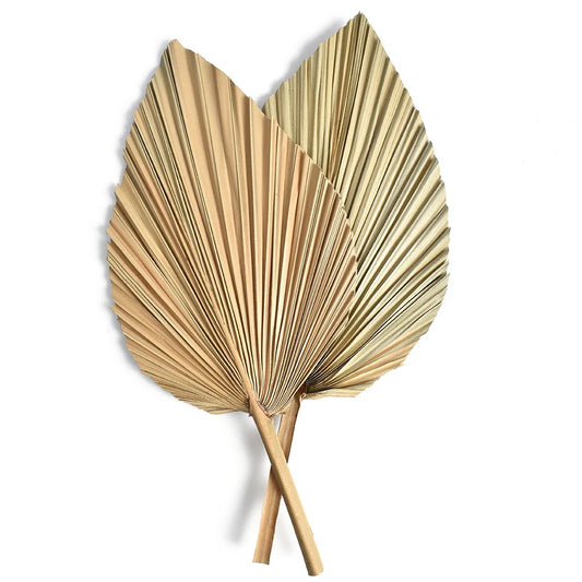 2PCS Mini Dried Palm Leaves & Pampas Grass  DIY Wedding & Home Decor Branches